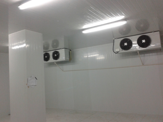 大型水果保鮮冷庫的建造特點