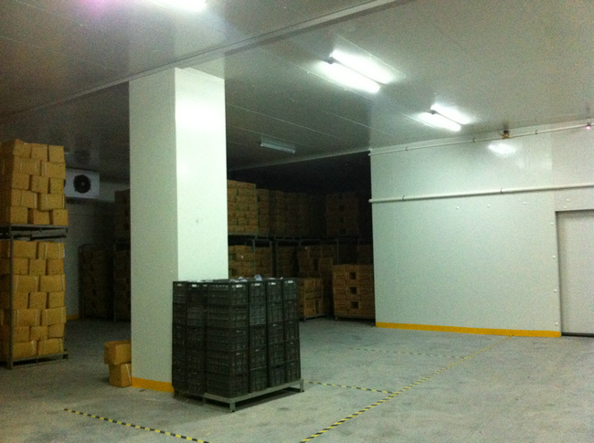 杭州水果保鮮冷庫建設 水果冷庫全套設備